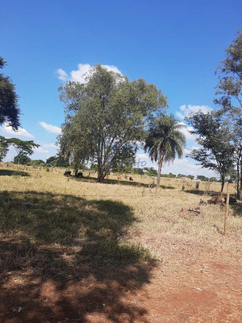 Fazenda à venda com 1 quarto, 22626m² - Foto 42