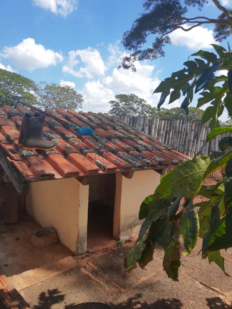 Fazenda à venda com 1 quarto, 22626m² - Foto 15