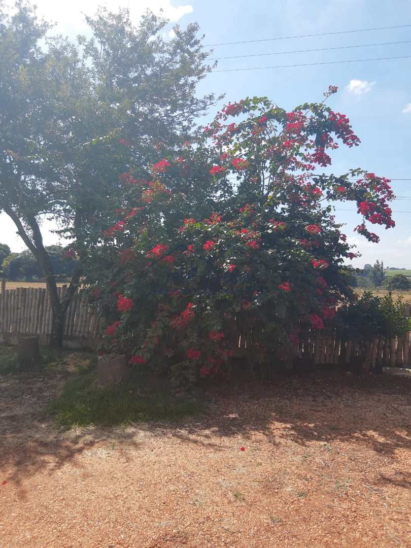 Fazenda à venda com 1 quarto, 22626m² - Foto 13