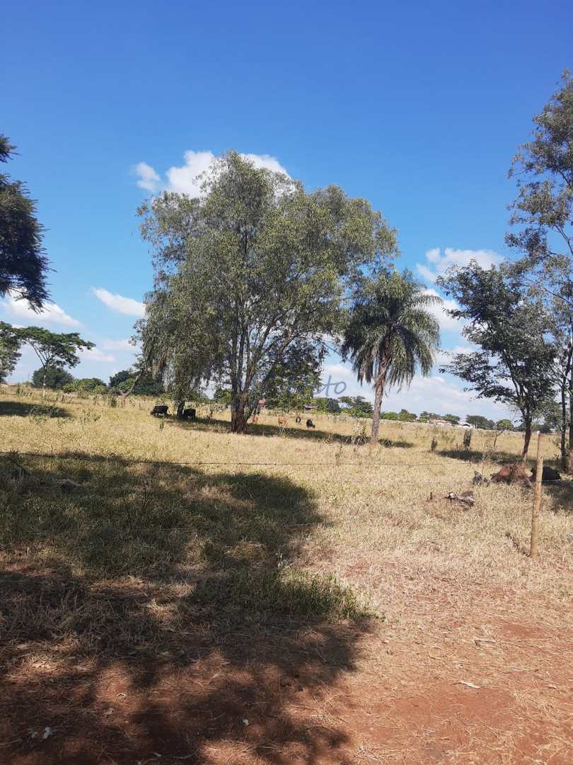 Fazenda à venda com 1 quarto, 22626m² - Foto 41