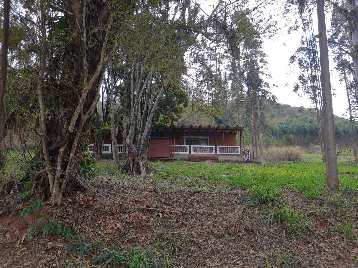 Fazenda à venda, 145200m² - Foto 14