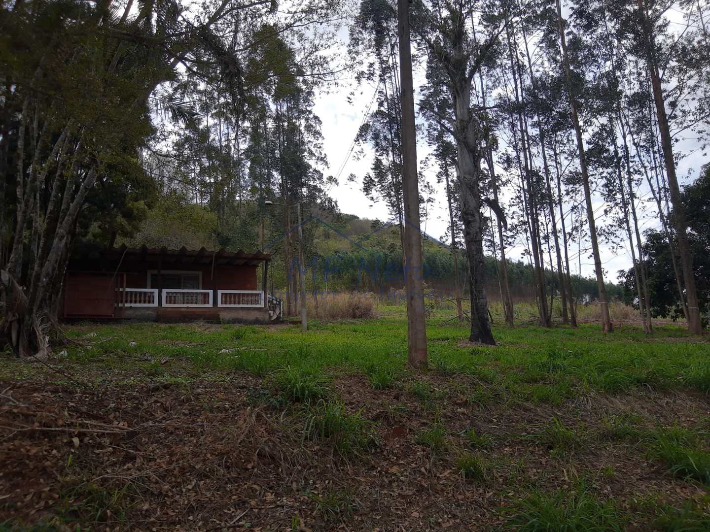 Fazenda à venda, 145200m² - Foto 15