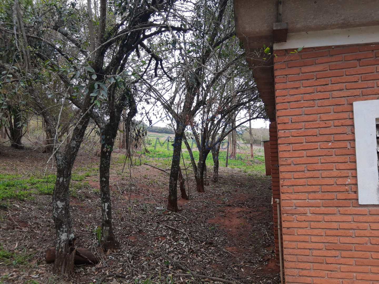 Fazenda à venda, 145200m² - Foto 12