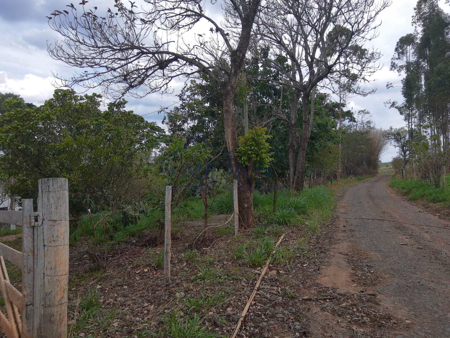 Fazenda à venda, 145200m² - Foto 21