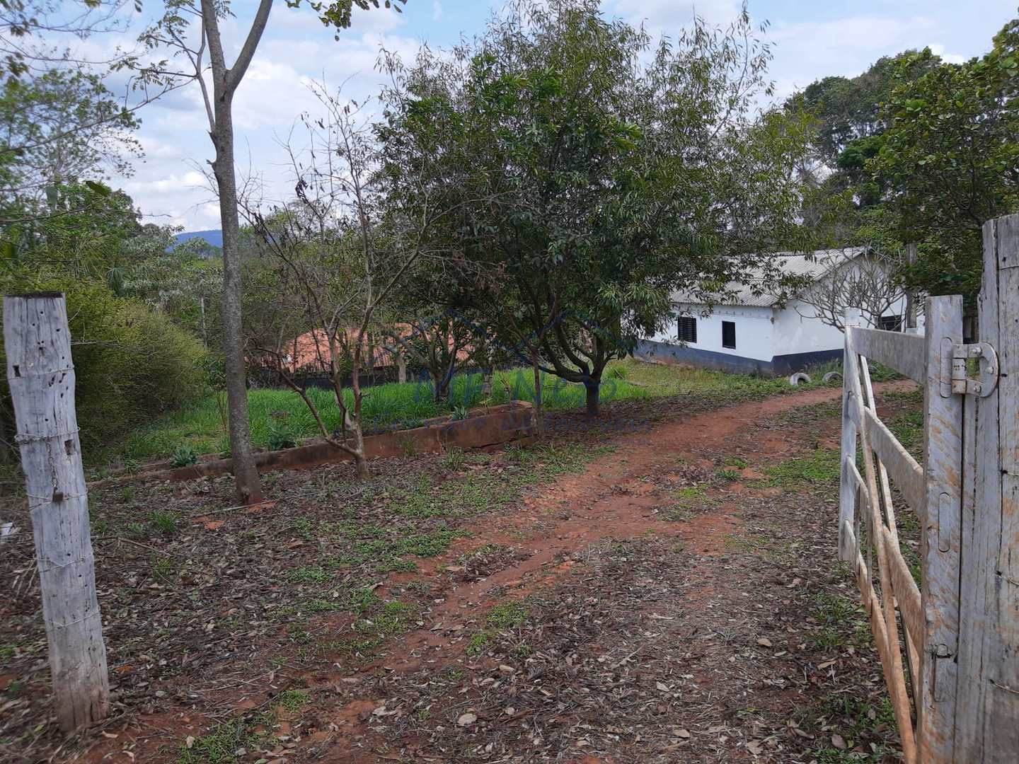 Fazenda à venda, 145200m² - Foto 7