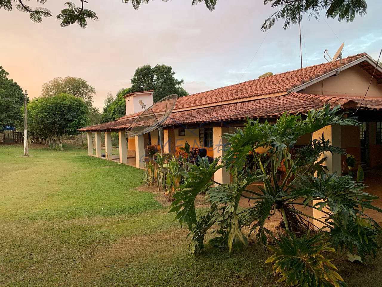 Fazenda à venda com 3 quartos, 30000m² - Foto 35