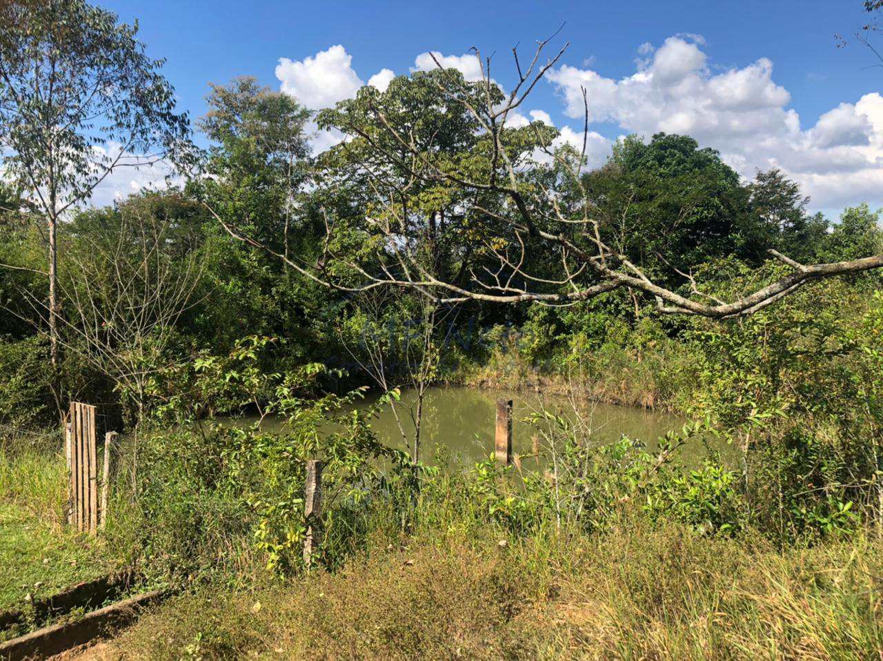 Fazenda à venda com 3 quartos, 30000m² - Foto 14