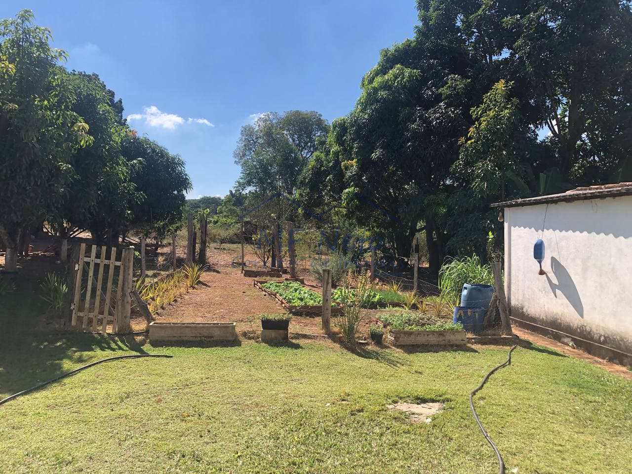 Fazenda à venda com 3 quartos, 30000m² - Foto 29