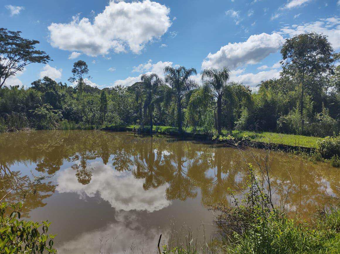 Fazenda à venda com 3 quartos, 30000m² - Foto 15