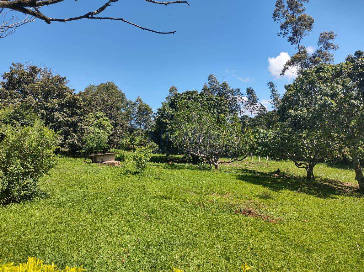 Fazenda à venda com 3 quartos, 30000m² - Foto 28