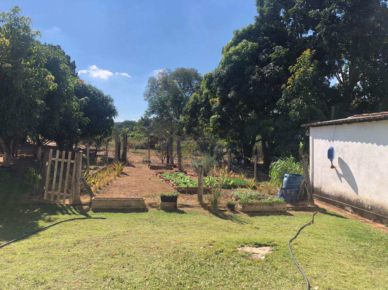 Fazenda à venda com 3 quartos, 30000m² - Foto 18