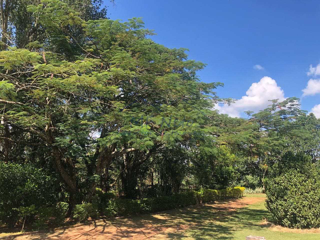 Fazenda à venda com 3 quartos, 30000m² - Foto 43