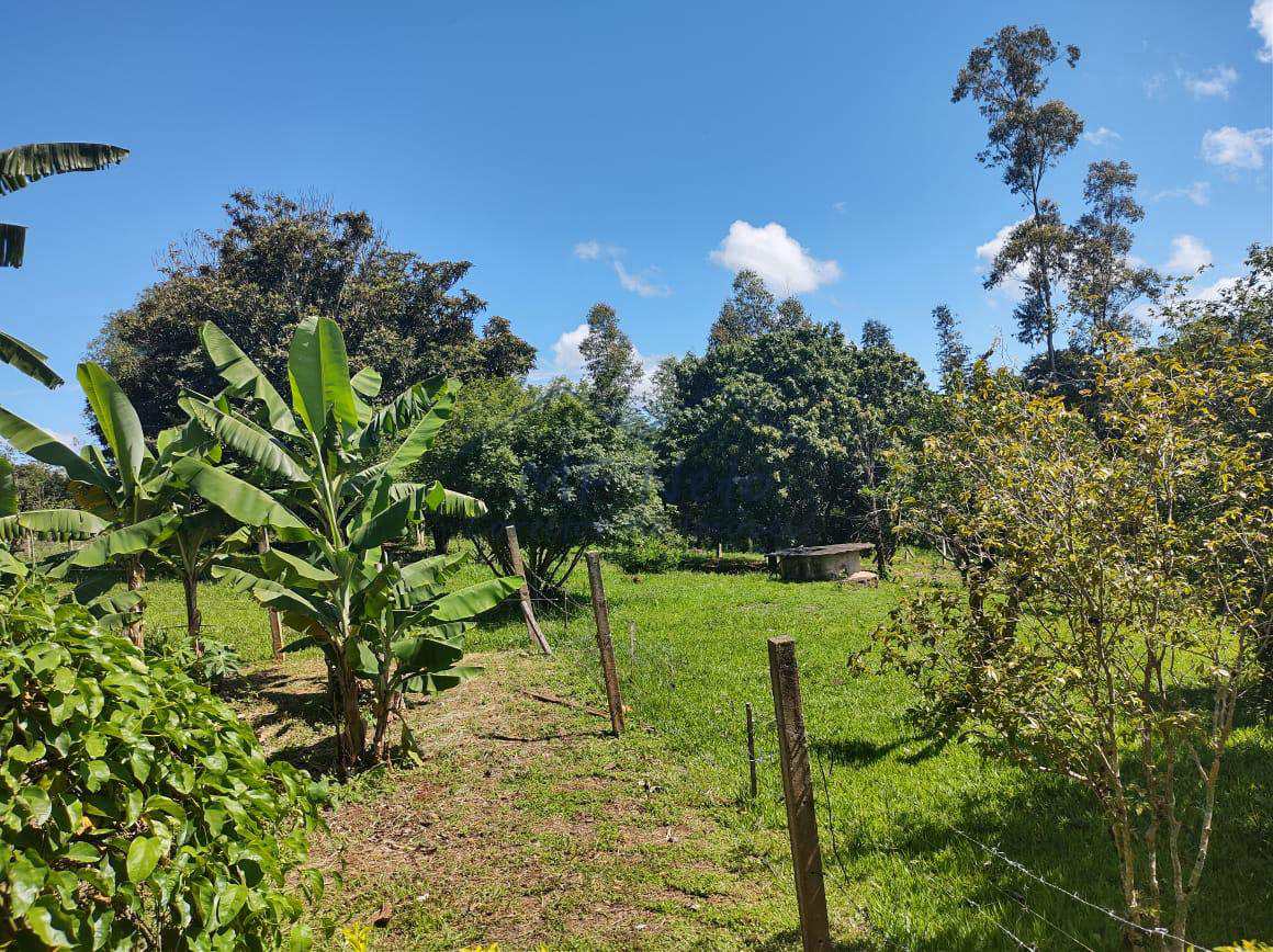 Fazenda à venda com 3 quartos, 30000m² - Foto 26