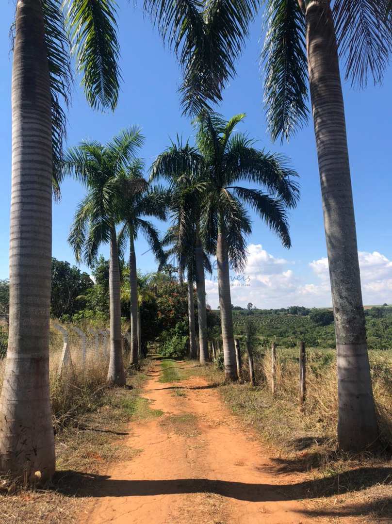 Fazenda-Sítio-Chácara, 3 hectares - Foto 1