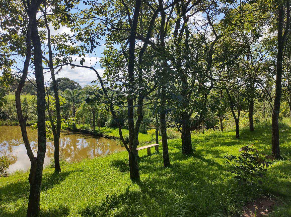 Fazenda à venda com 3 quartos, 30000m² - Foto 12