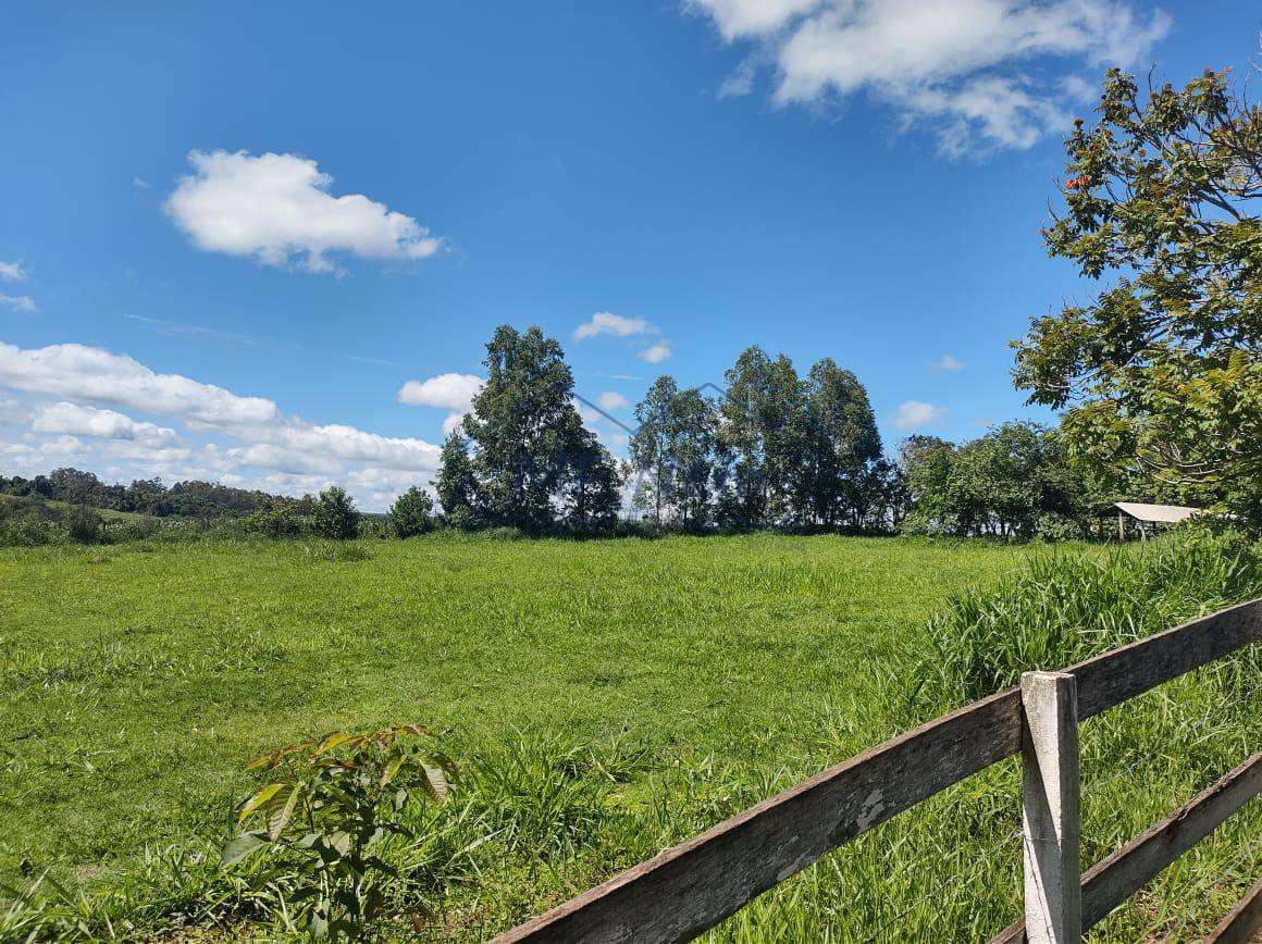 Fazenda à venda com 3 quartos, 30000m² - Foto 10