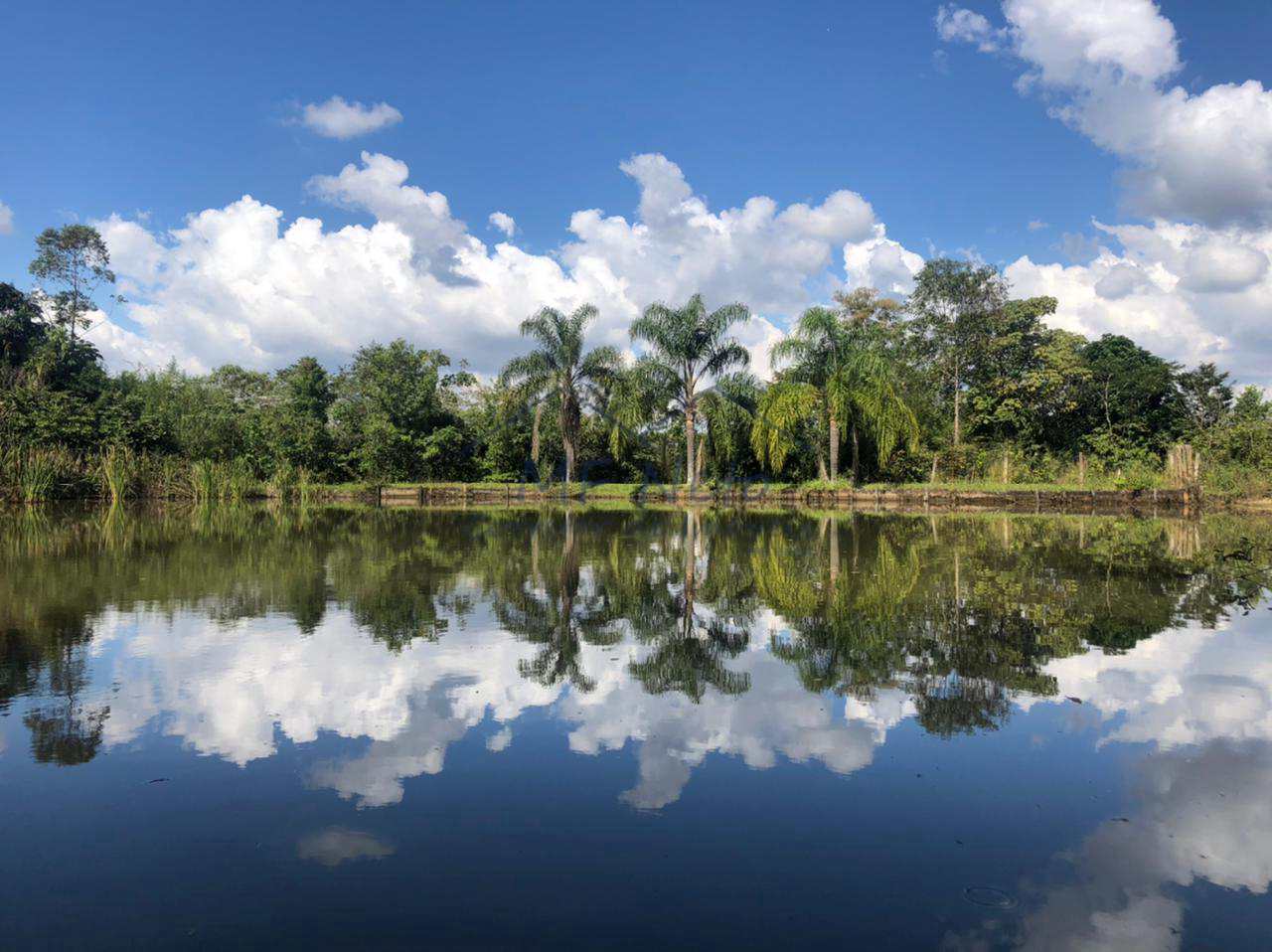 Fazenda à venda com 3 quartos, 30000m² - Foto 19