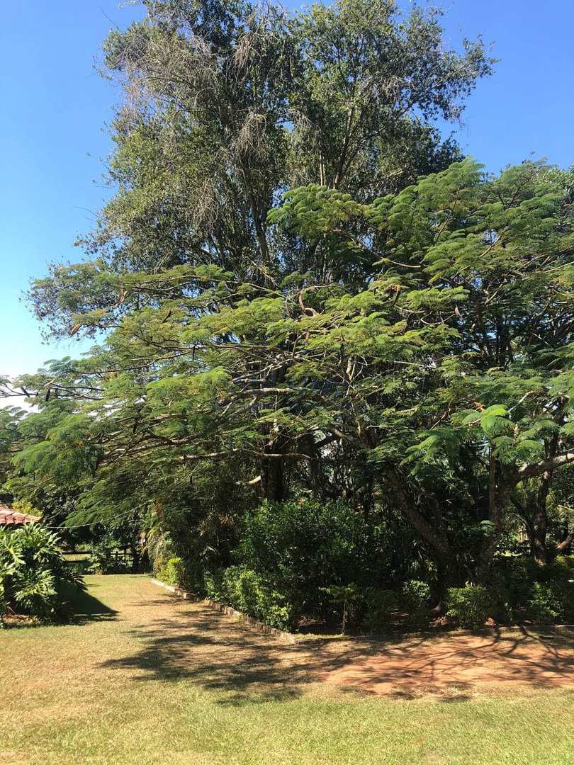 Fazenda à venda com 3 quartos, 30000m² - Foto 38