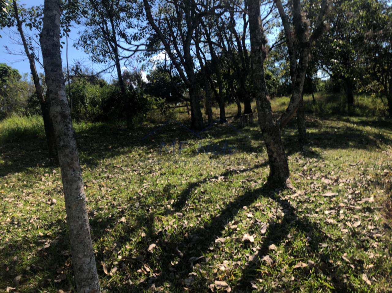 Fazenda à venda com 3 quartos, 30000m² - Foto 31