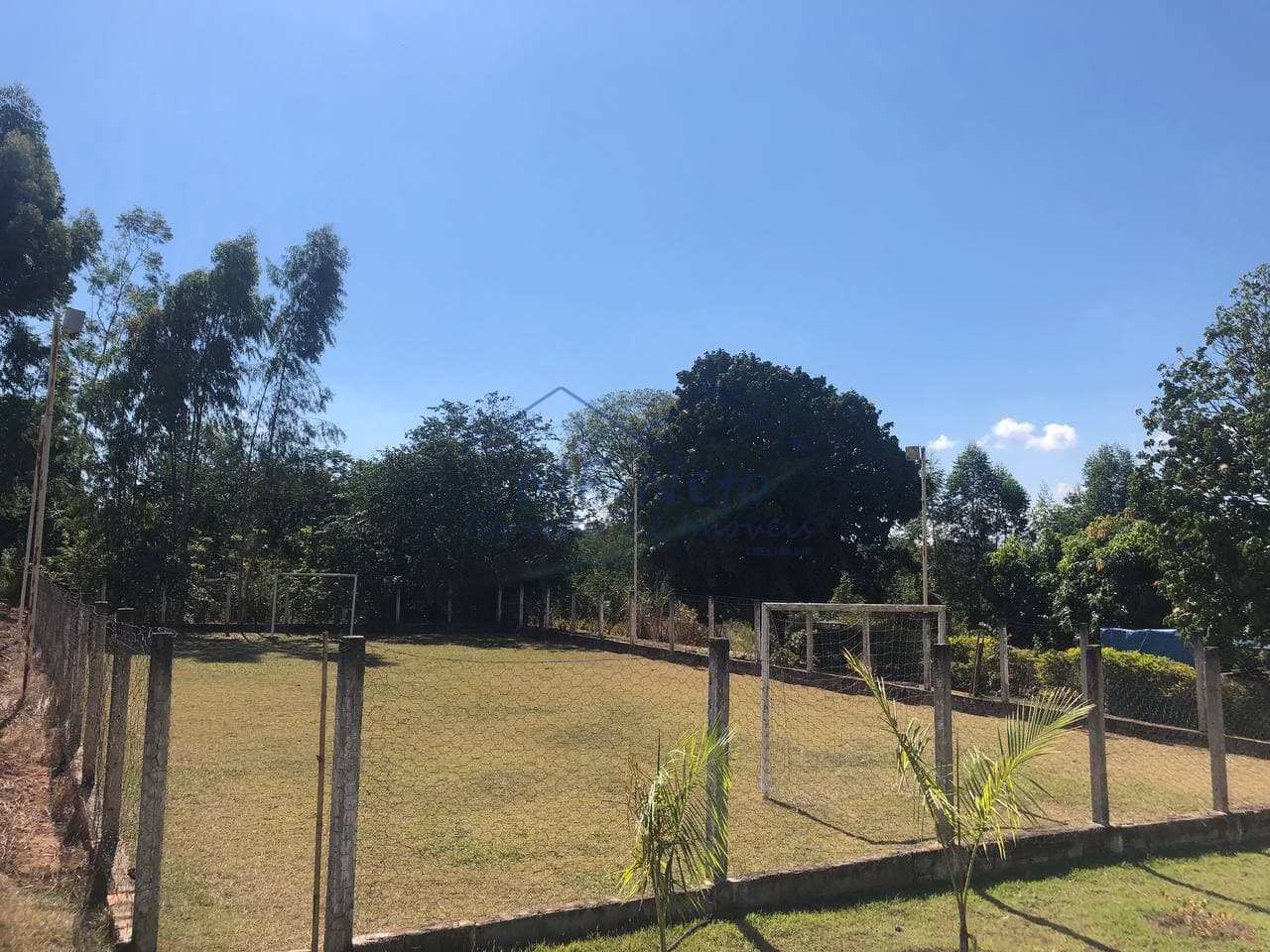 Fazenda à venda com 3 quartos, 30000m² - Foto 39