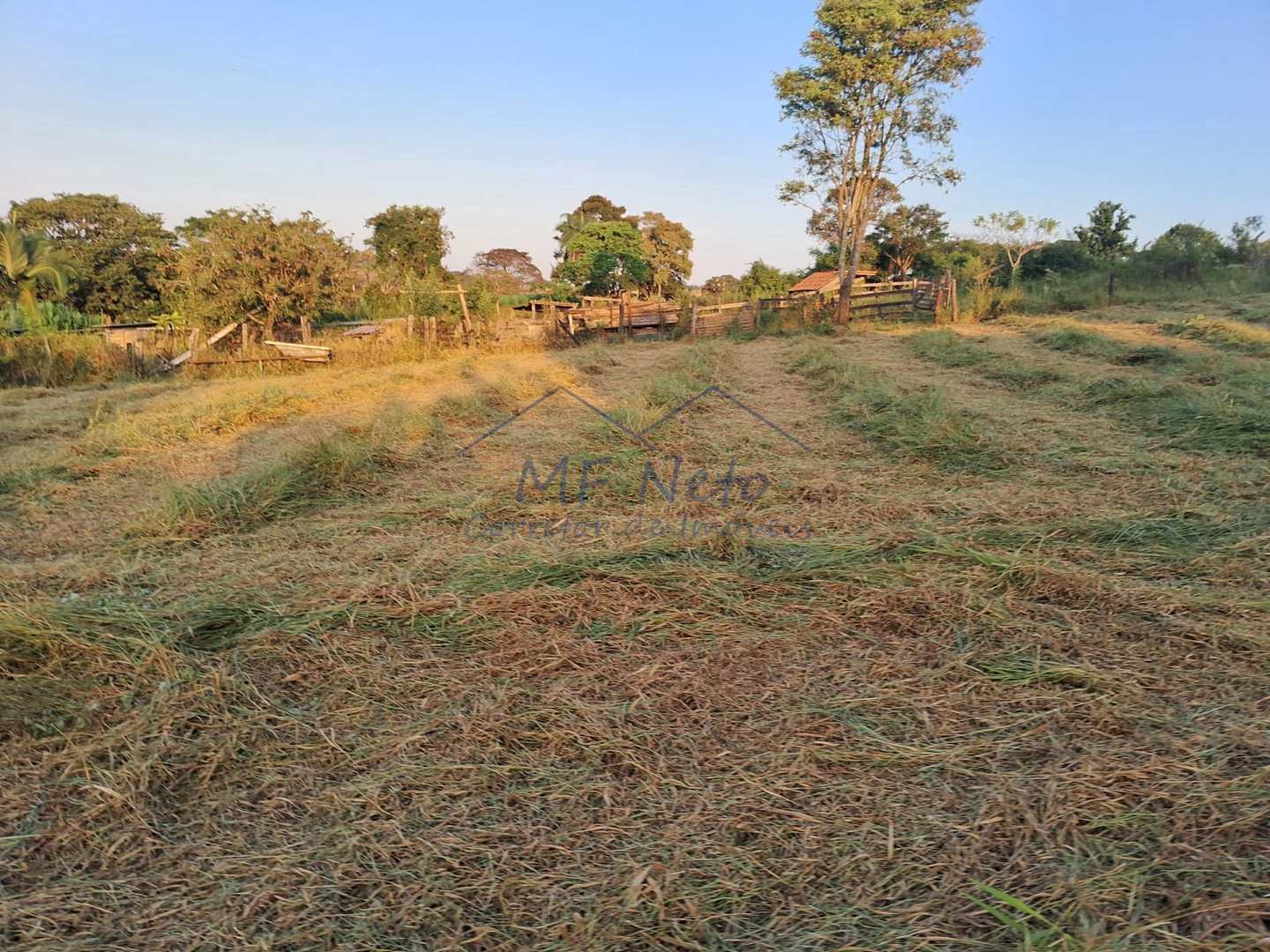 Fazenda à venda, 1500m² - Foto 4