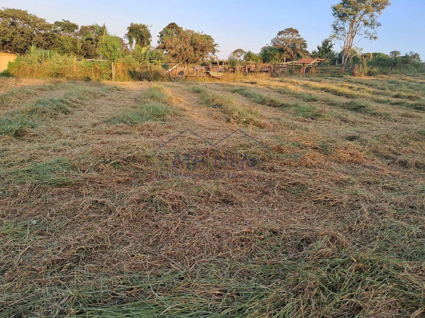 Fazenda à venda, 1500m² - Foto 7