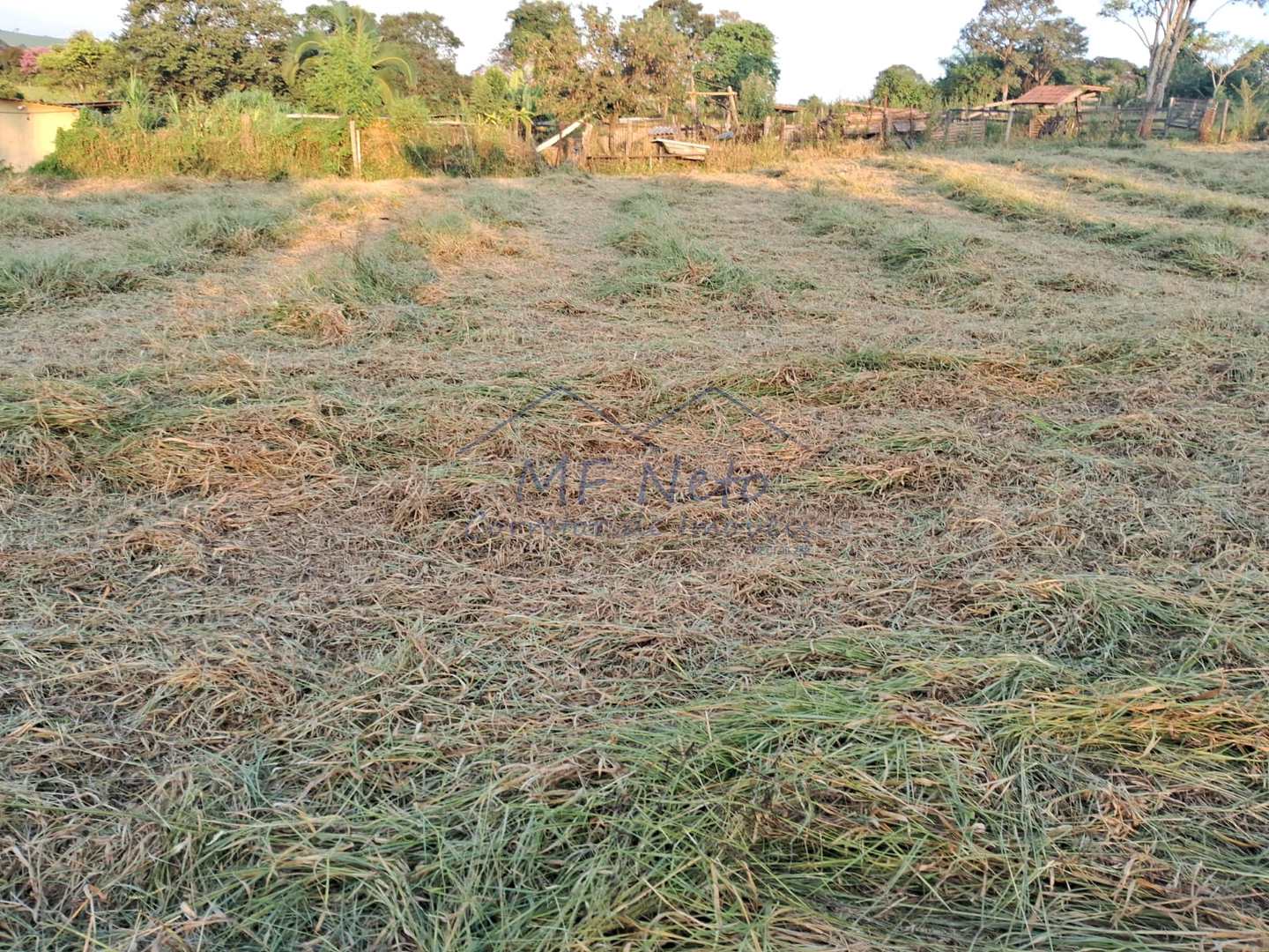 Fazenda à venda, 1500m² - Foto 6