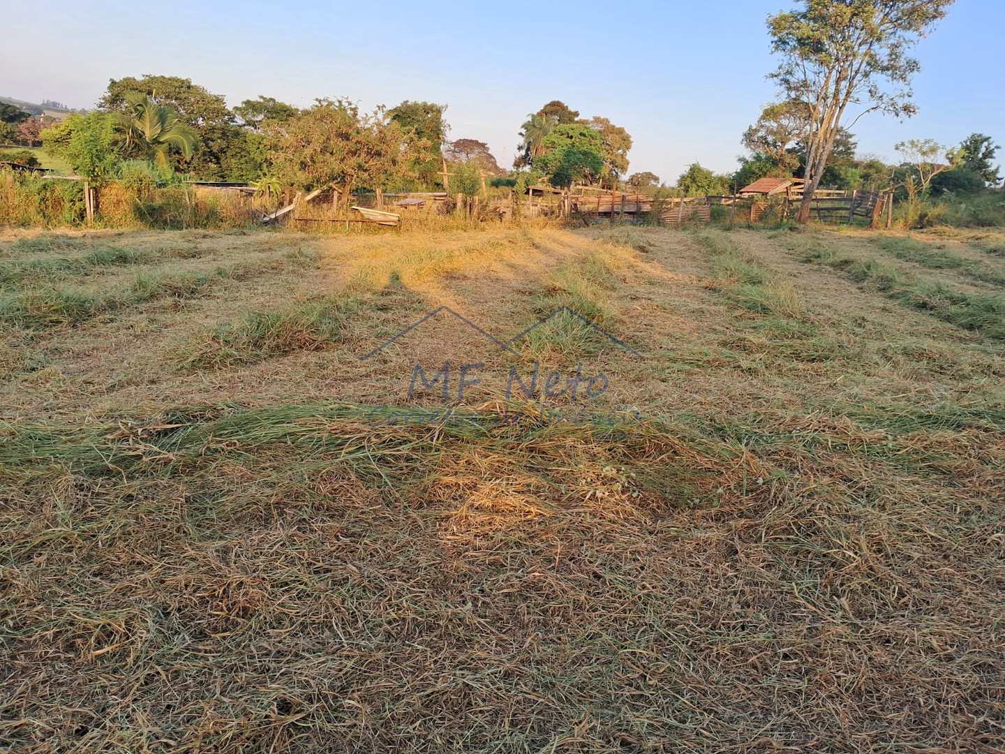 Fazenda à venda, 1500m² - Foto 5