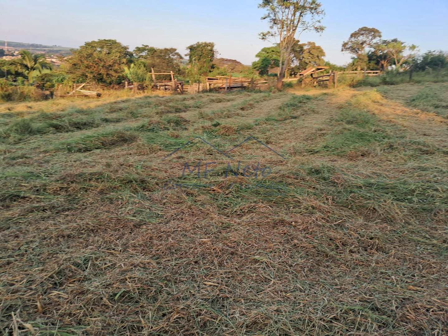 Fazenda à venda, 1500m² - Foto 2