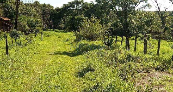 Terreno à venda, 6000m² - Foto 5