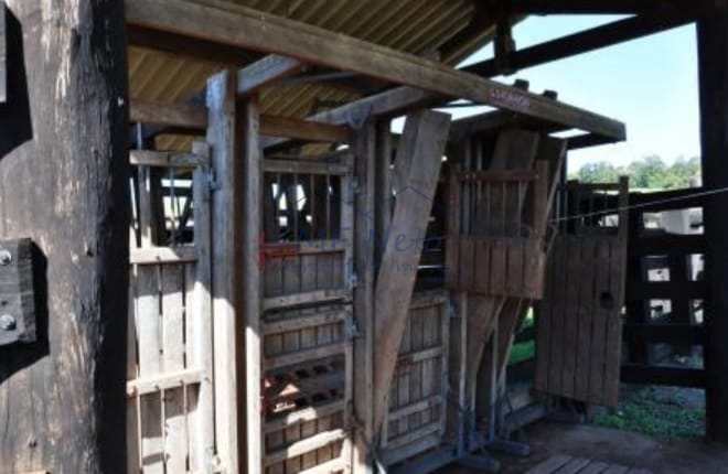 Fazenda à venda com 4 quartos, 22m² - Foto 20