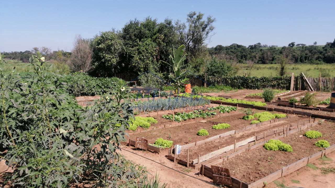 Fazenda à venda com 4 quartos, 22m² - Foto 20