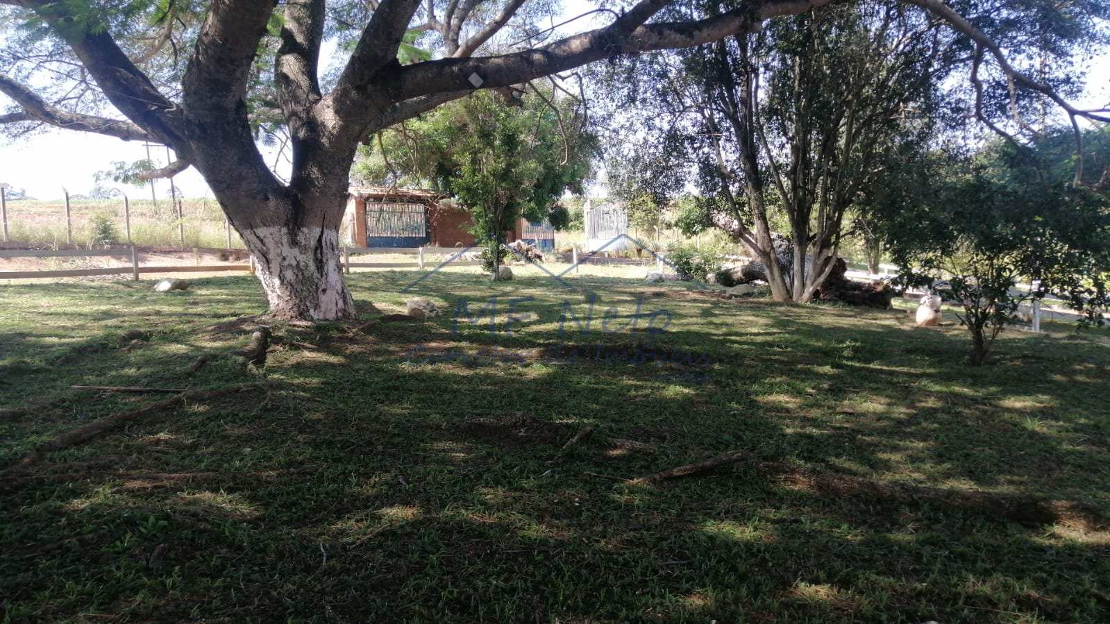 Fazenda à venda com 4 quartos, 22m² - Foto 14