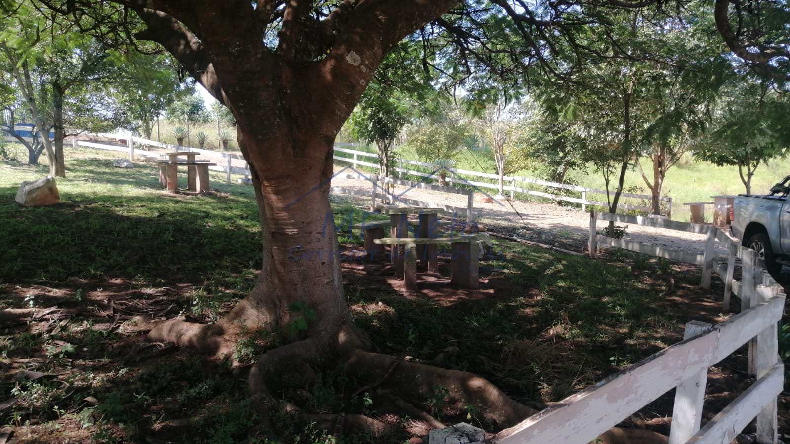 Fazenda à venda com 4 quartos, 22m² - Foto 19