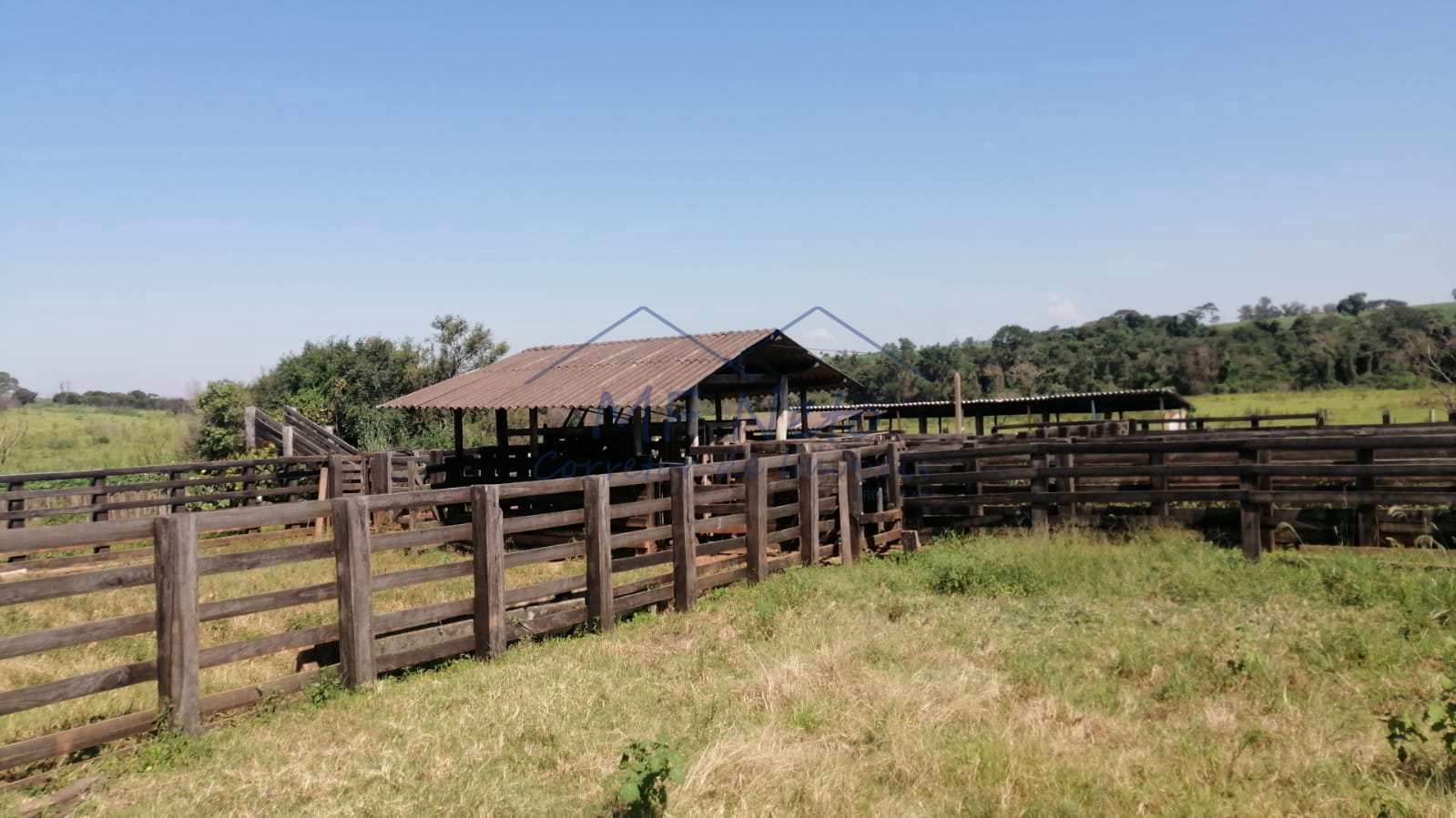 Fazenda à venda com 4 quartos, 22m² - Foto 10
