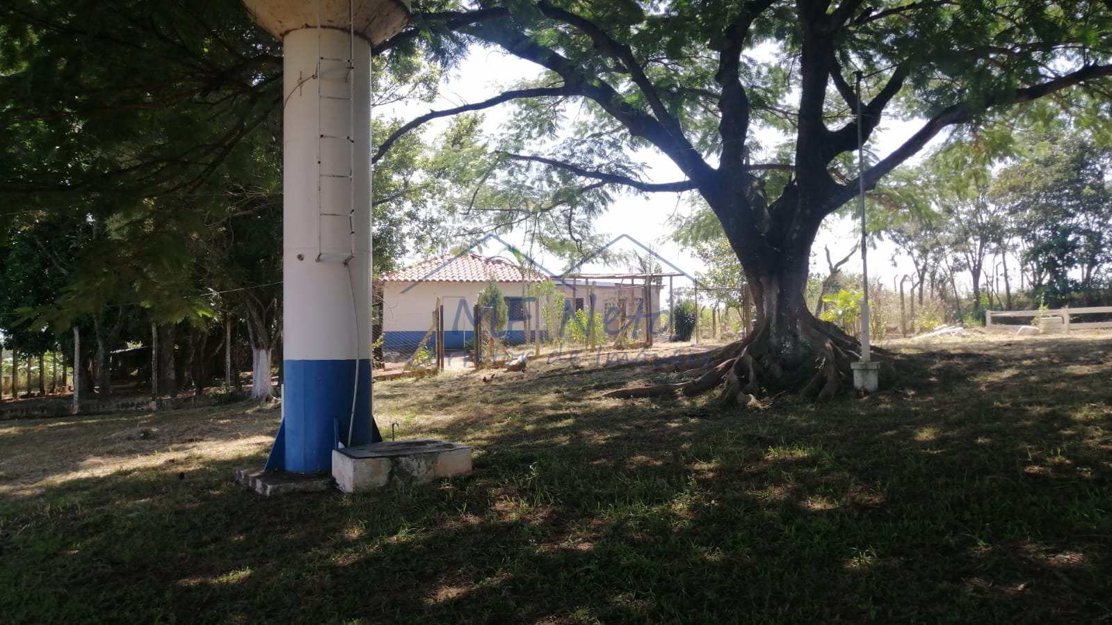 Fazenda à venda com 4 quartos, 22m² - Foto 17