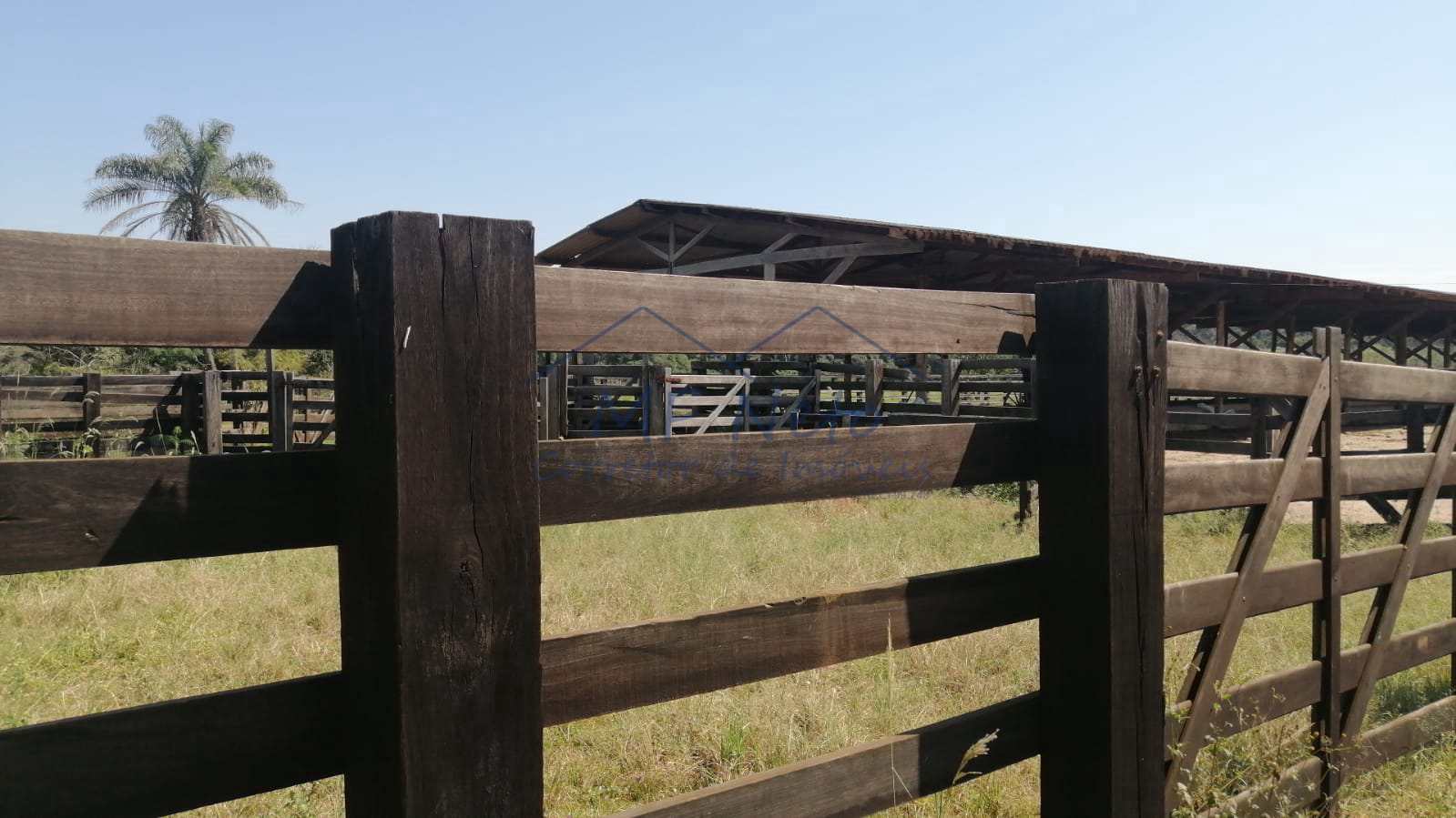 Fazenda à venda com 4 quartos, 22m² - Foto 11