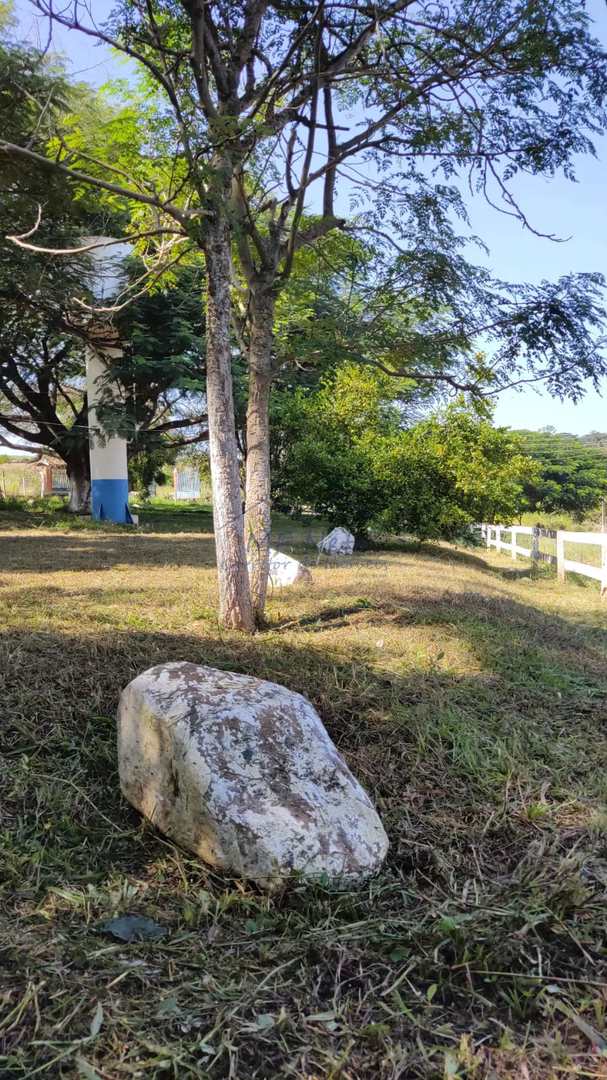 Fazenda à venda com 4 quartos, 22m² - Foto 15