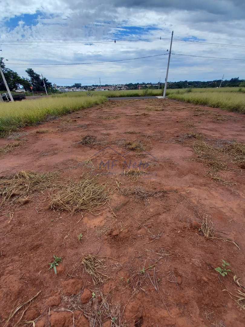 Terreno à venda, 250m² - Foto 4