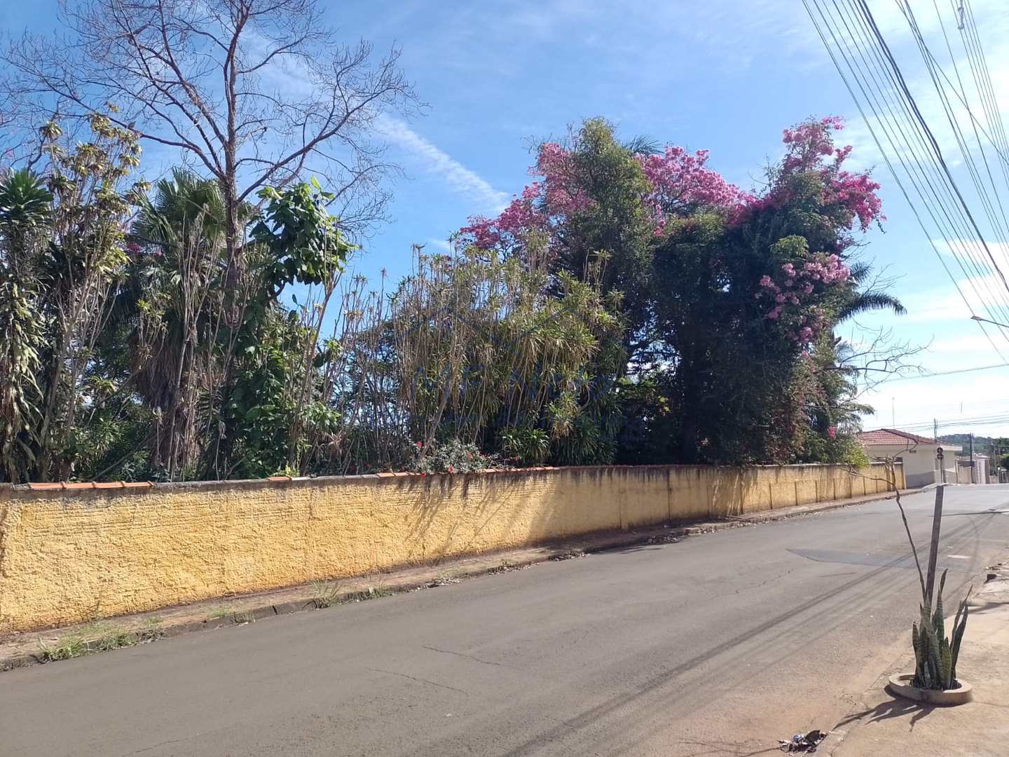 Fazenda à venda com 1 quarto, 5464m² - Foto 20