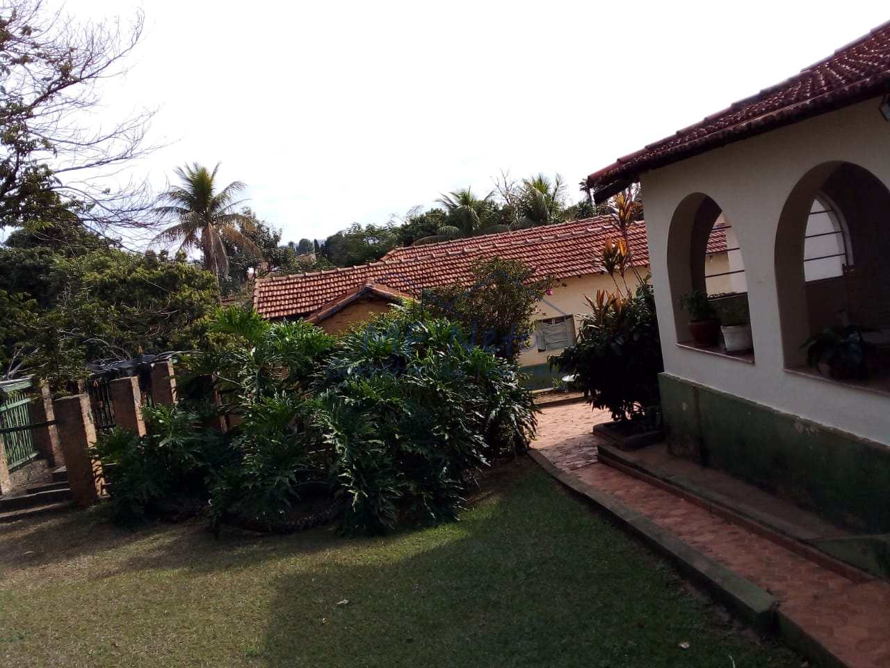 Fazenda à venda com 1 quarto, 5464m² - Foto 8