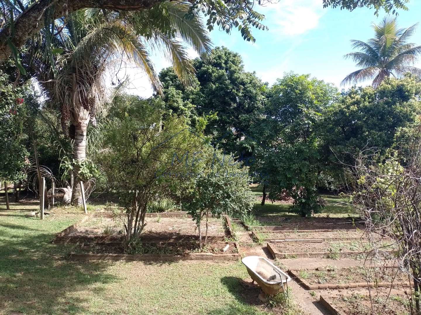 Fazenda à venda com 1 quarto, 5464m² - Foto 37