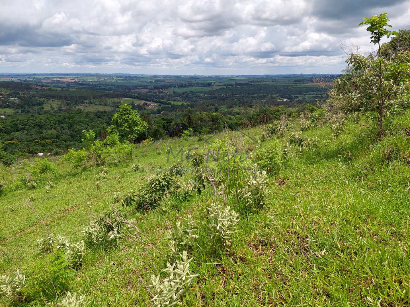 Fazenda-Sítio-Chácara, 12 hectares - Foto 3