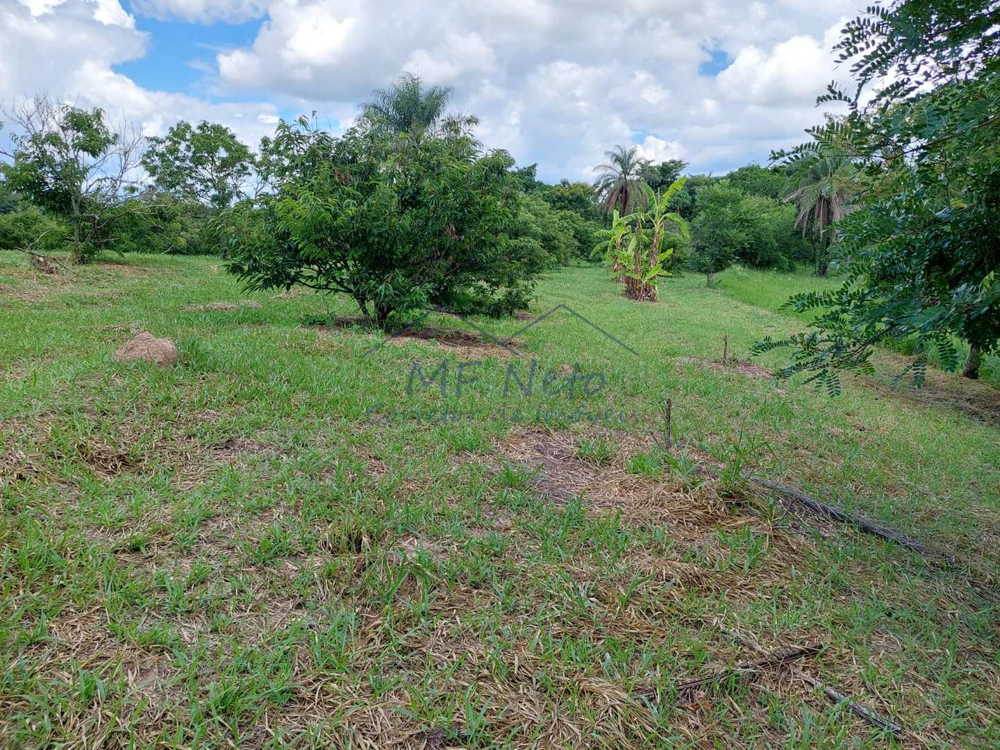 Fazenda-Sítio-Chácara, 12 hectares - Foto 2