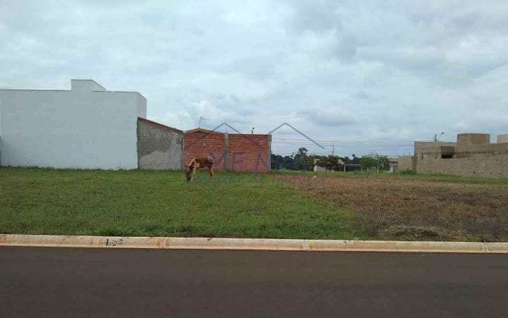 Terreno à venda, 250m² - Foto 4