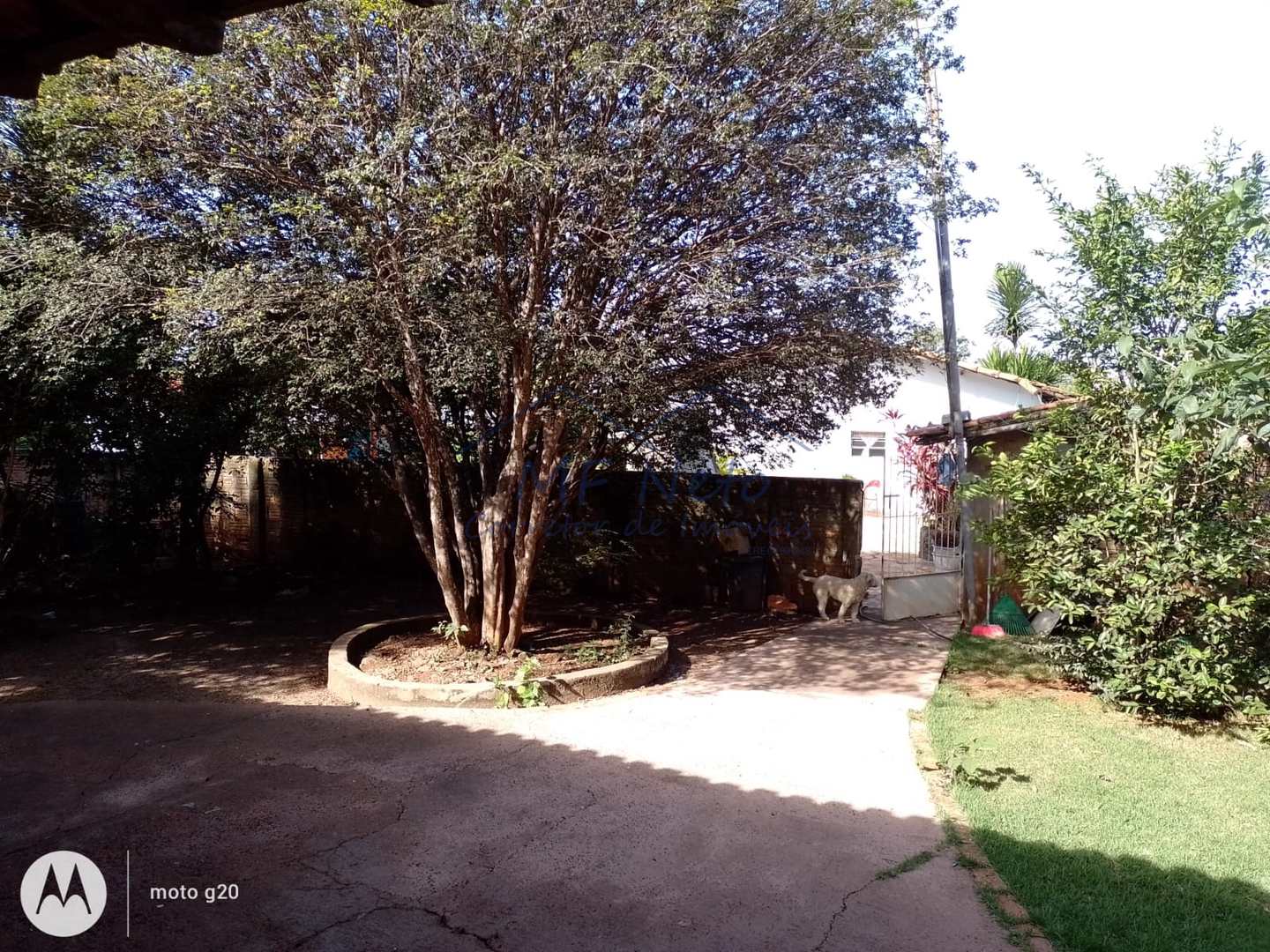 Fazenda à venda com 5 quartos, 1281m² - Foto 29