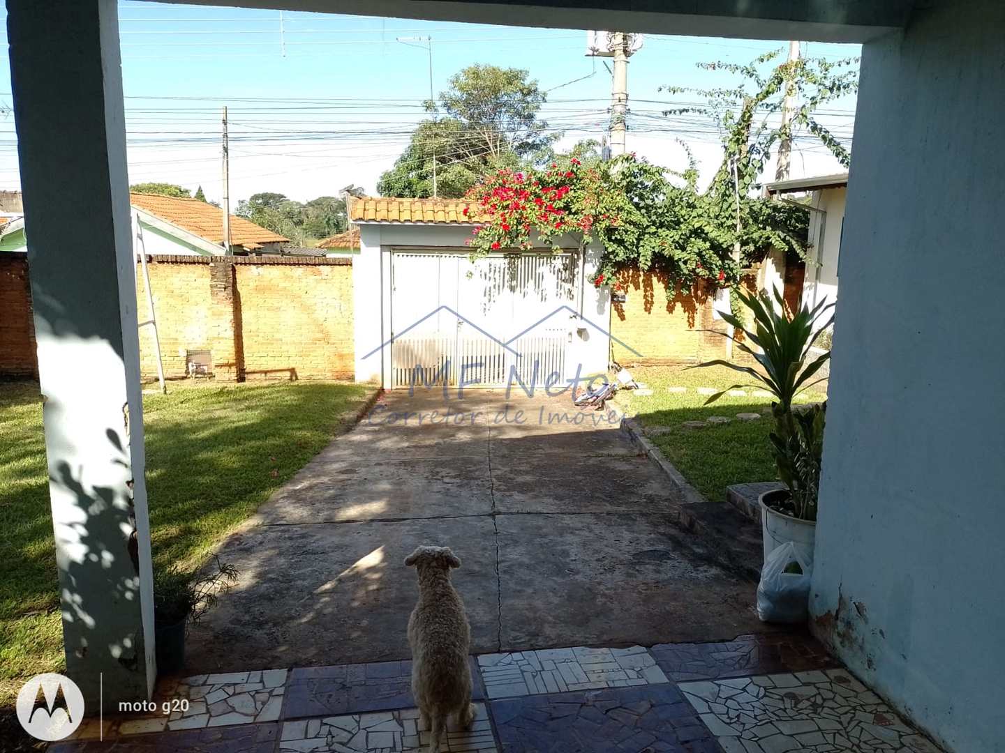 Fazenda à venda com 5 quartos, 1281m² - Foto 3