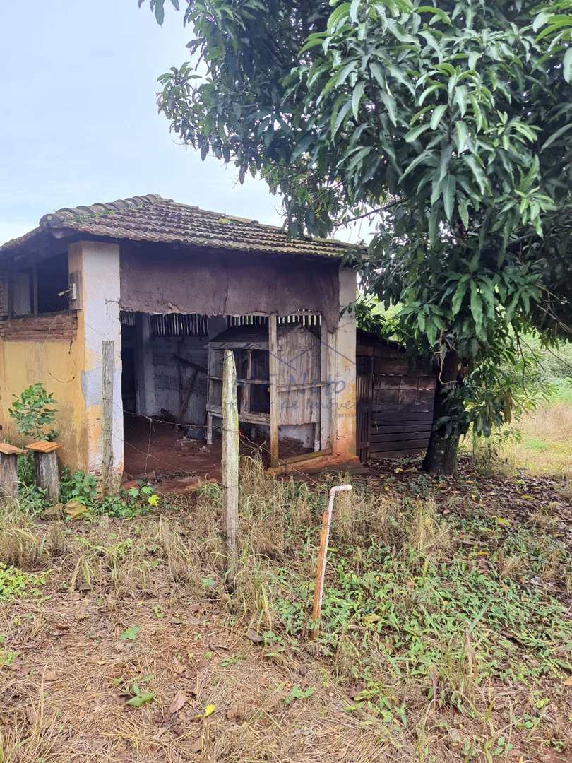 Fazenda à venda com 2 quartos, 2m² - Foto 6