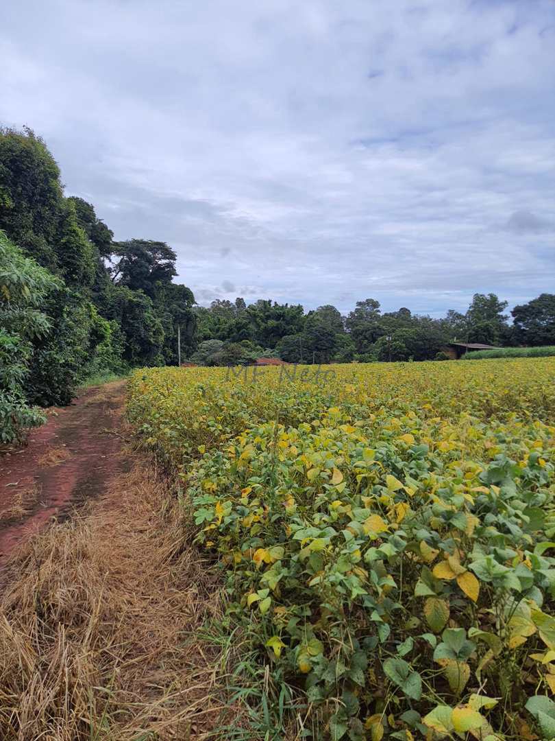 Fazenda à venda com 2 quartos, 2m² - Foto 7