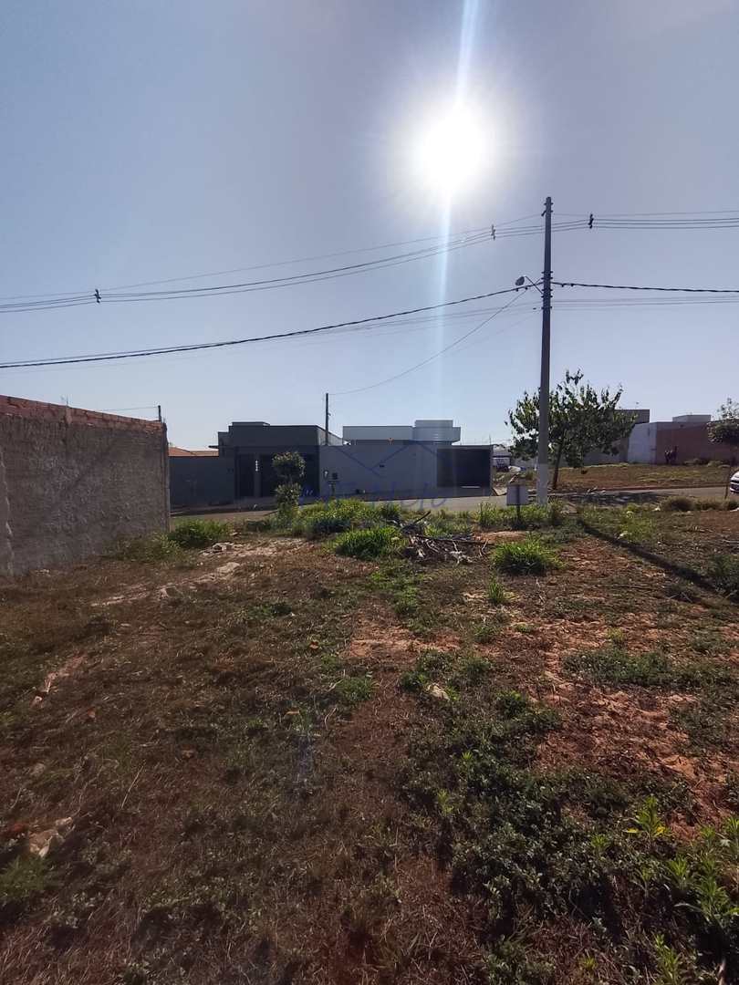 Terreno à venda, 250m² - Foto 6